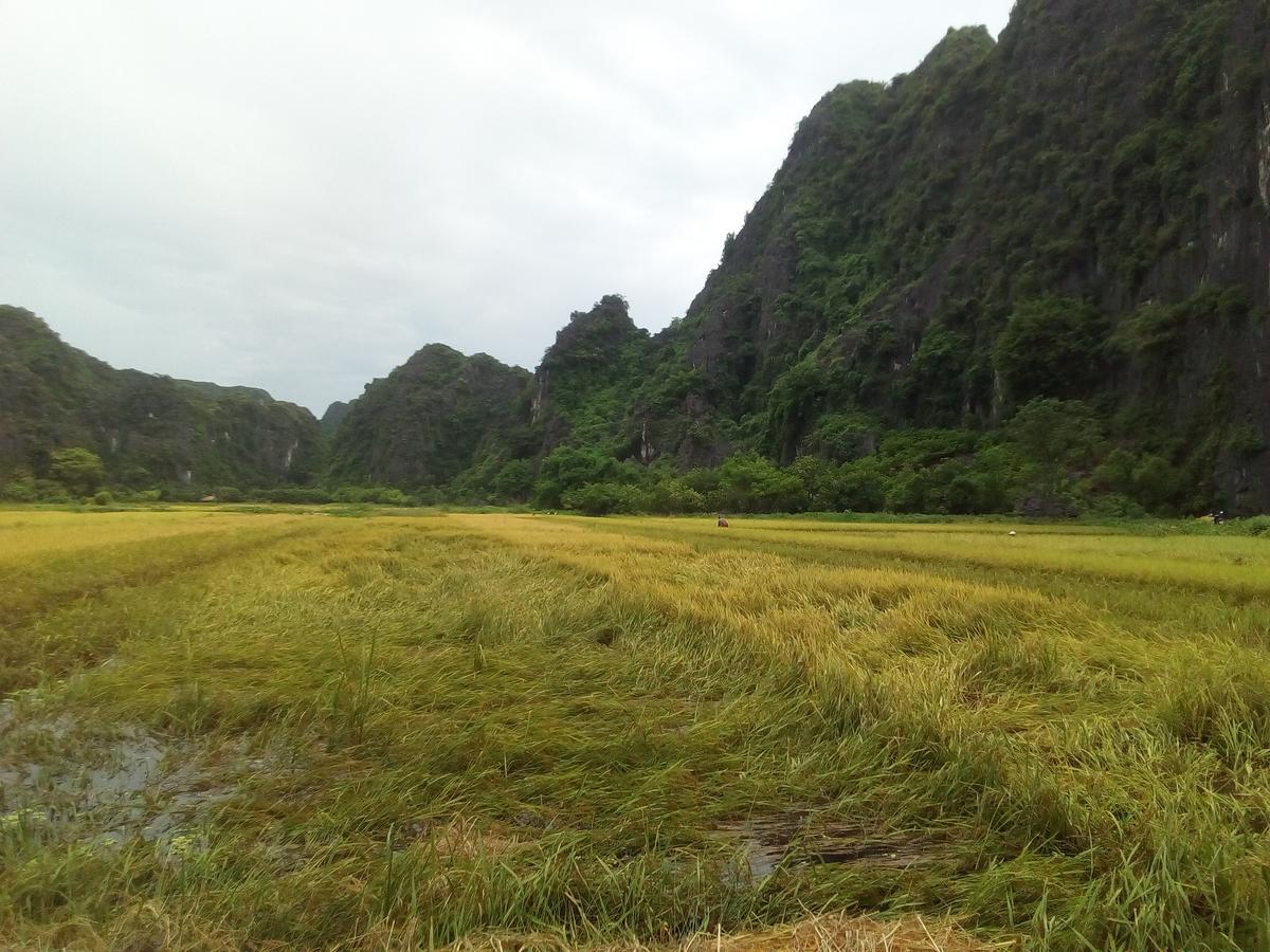 Tam Coc Smile Homestay Ninh Binh Bagian luar foto